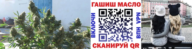 даркнет наркотические препараты  ссылка на мегу вход  Инза  Дистиллят ТГК THC oil 