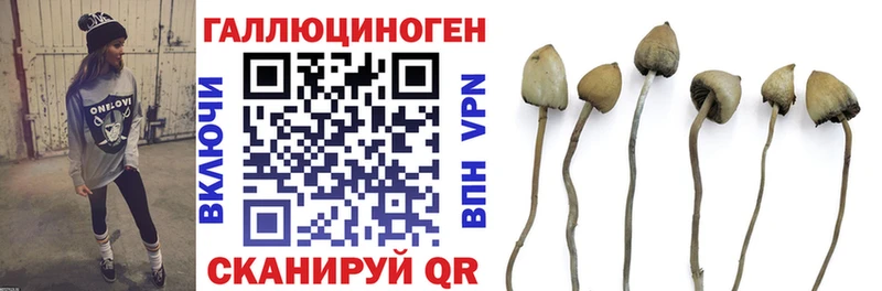 Псилоцибиновые грибы GOLDEN TEACHER  цены наркотик  Инза 